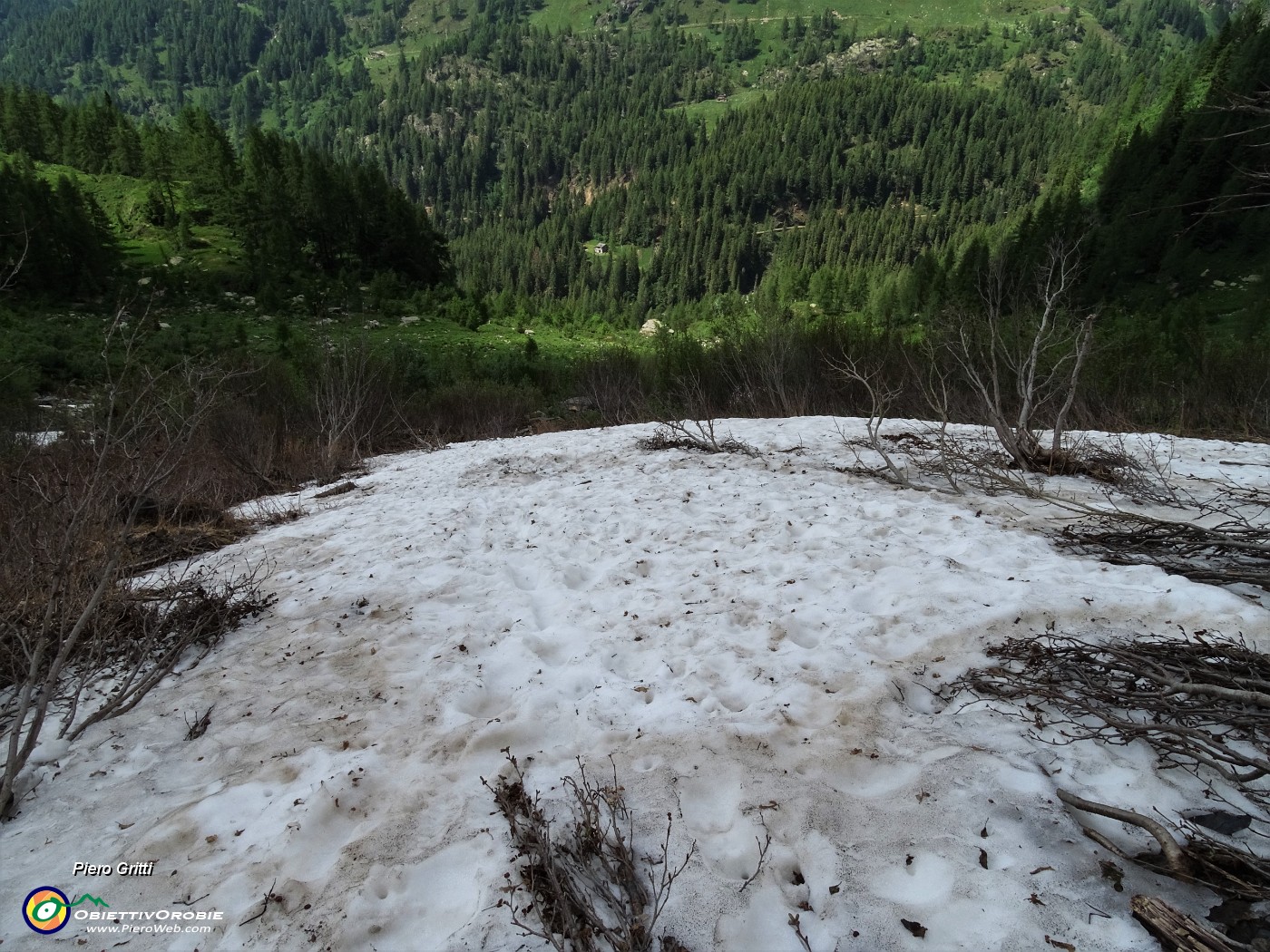79 E pesto alla fine del vallone la neve.JPG